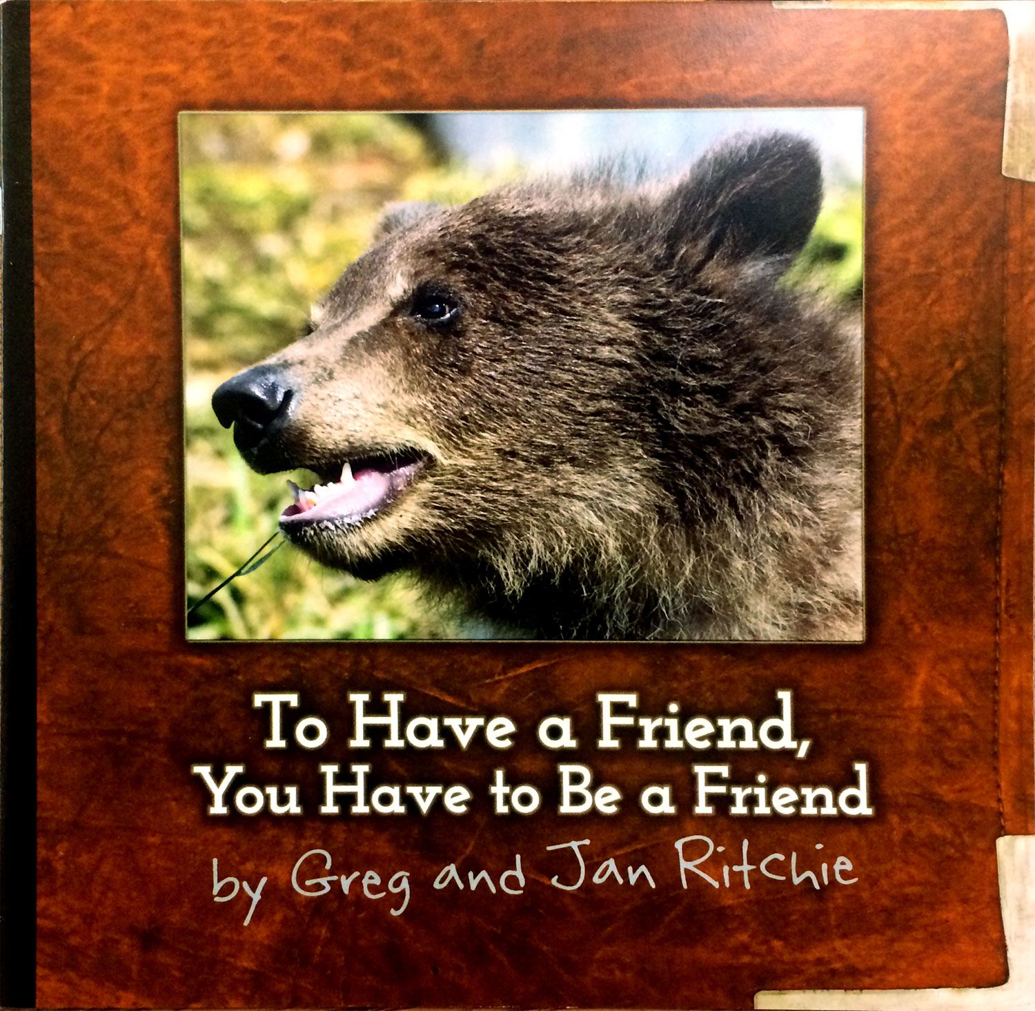 To Have A Friend you have to be a friend Book For Kids