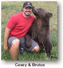 bear spray