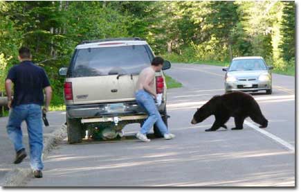 bear spray